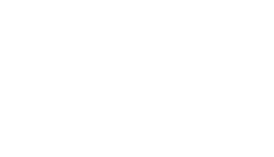 Selo de seleção do LANAFF 2025